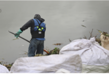 Participa UAQ en la rehabilitación ambiental del bordo Benito Juárez, en el Querétaro 2000