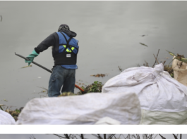 Participa UAQ en la rehabilitación ambiental del bordo Benito Juárez, en el Querétaro 2000