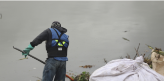 Participa UAQ en la rehabilitación ambiental del bordo Benito Juárez, en el Querétaro 2000