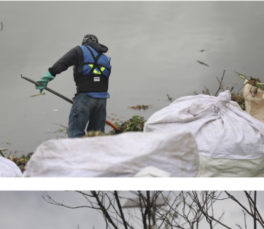 Participa UAQ en la rehabilitación ambiental del bordo Benito Juárez, en el Querétaro 2000