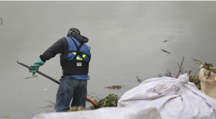 Participa UAQ en la rehabilitación ambiental del bordo Benito Juárez, en el Querétaro 2000