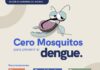 Fortalece SESA acciones de vigilancia epidemiológica del dengue