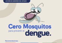 Fortalece SESA acciones de vigilancia epidemiológica del dengue