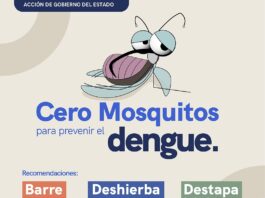 Fortalece SESA acciones de vigilancia epidemiológica del dengue