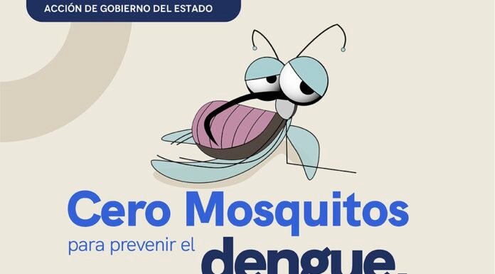 Fortalece SESA acciones de vigilancia epidemiológica del dengue