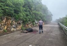 Localizan cuerpo de una res sobre la carretera Tilaco–Santa Inés; investigan posible ataque de puma