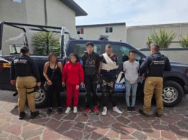 Seis detenidos tras persecución en Paseo Constituyentes; viajaban en vehículo con reporte de robo