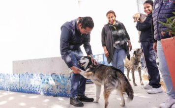 Corregidora arranca la segunda etapa de la campaña gratuita “Esteriliza y Protege”
