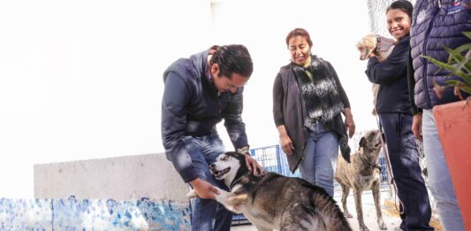 Corregidora arranca la segunda etapa de la campaña gratuita “Esteriliza y Protege”