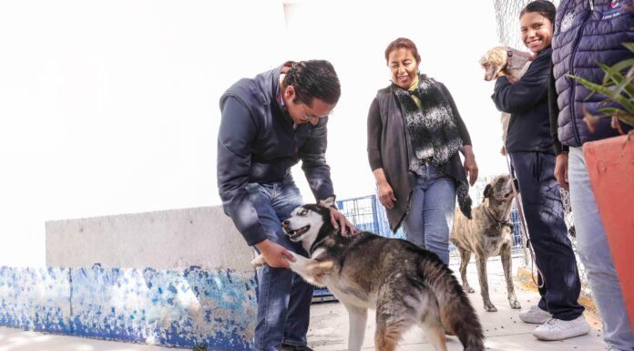 Corregidora arranca la segunda etapa de la campaña gratuita “Esteriliza y Protege”