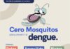 Refuerza SESA acciones de vigilancia epidemiológica y prevención del dengue