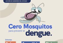 Refuerza SESA acciones de vigilancia epidemiológica y prevención del dengue