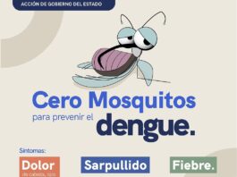 Refuerza SESA acciones de vigilancia epidemiológica y prevención del dengue