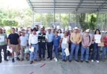 Entrega SEDEA oficios de autorización al campo serrano