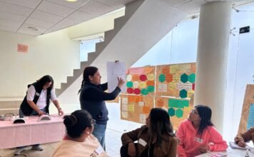 Promueve SEMUJERES autonomía económica de mujeres de Amealco
