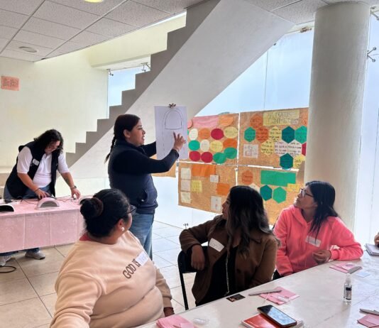 Promueve SEMUJERES autonomía económica de mujeres de Amealco