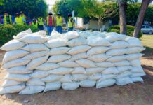 Personas sancionadas con trabajo comunitario participan en acciones de rehabilitación y prevención en Corregidora