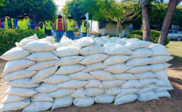 Personas sancionadas con trabajo comunitario participan en acciones de rehabilitación y prevención en Corregidora