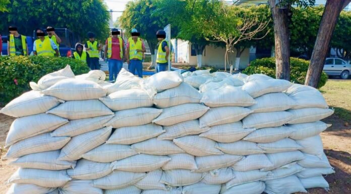 Personas sancionadas con trabajo comunitario participan en acciones de rehabilitación y prevención en Corregidora
