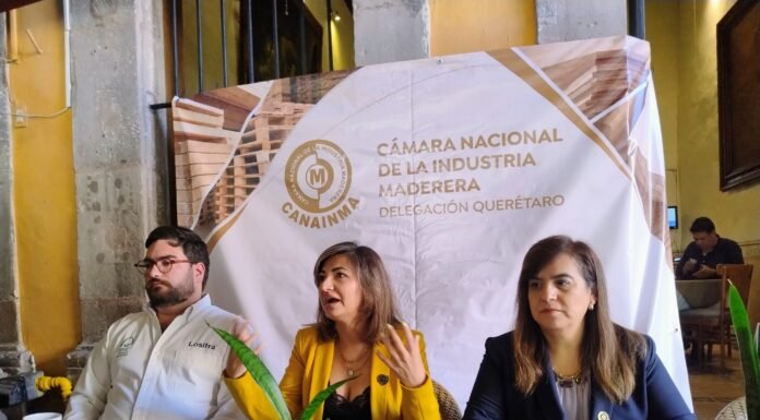 Impulsan en Querétaro el consumo responsable y la compra legal de madera