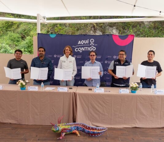 Firman SECULT y Zenbit convenio para proteger el ajolote serrano