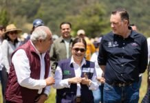 Participa Querétaro en la Jornada Nacional de Reforestación que busca restaurar los ecosistemas