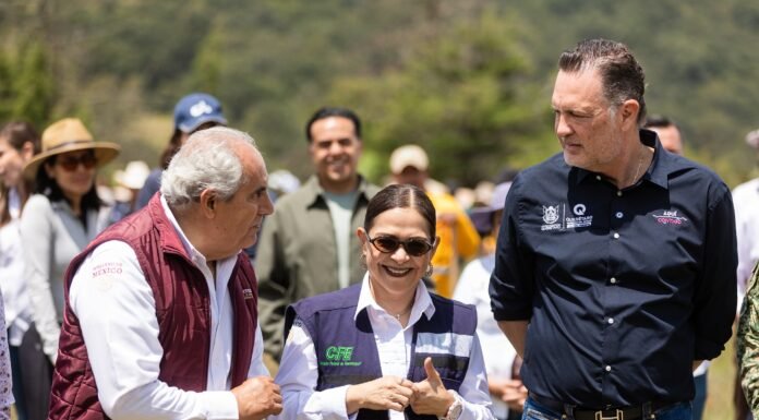 Participa Querétaro en la Jornada Nacional de Reforestación que busca restaurar los ecosistemas