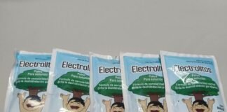 Refuerza SESA prevención de enfermedades diarreicas