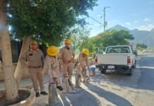 SESA Querétaro y ciudadanía unen esfuerzos contra el dengue