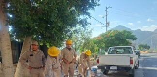 SESA Querétaro y ciudadanía unen esfuerzos contra el dengue
