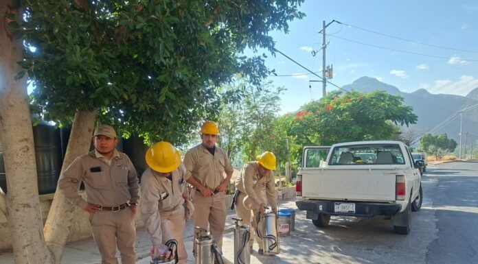 SESA Querétaro y ciudadanía unen esfuerzos contra el dengue