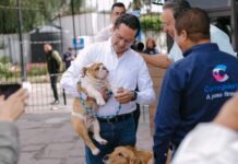 Chepe Guerrero convierte al CAM en el primer edificio de gobierno Pet Friendly en Corregidora
