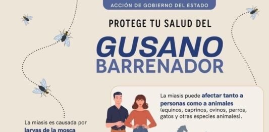 Continúa SESA vigilancia epidemiológica ante casos de miasis humana por gusano barrenador