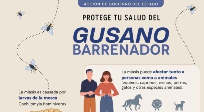 Continúa SESA vigilancia epidemiológica ante casos de miasis humana por gusano barrenador