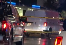 🚨 Muere peatón atropellado al intentar cruzar los carriles centrales de 5 de Febrero