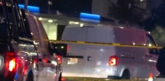 🚨 Muere peatón atropellado al intentar cruzar los carriles centrales de 5 de Febrero
