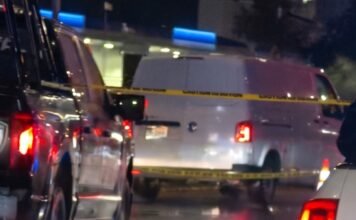 🚨 Muere peatón atropellado al intentar cruzar los carriles centrales de 5 de Febrero